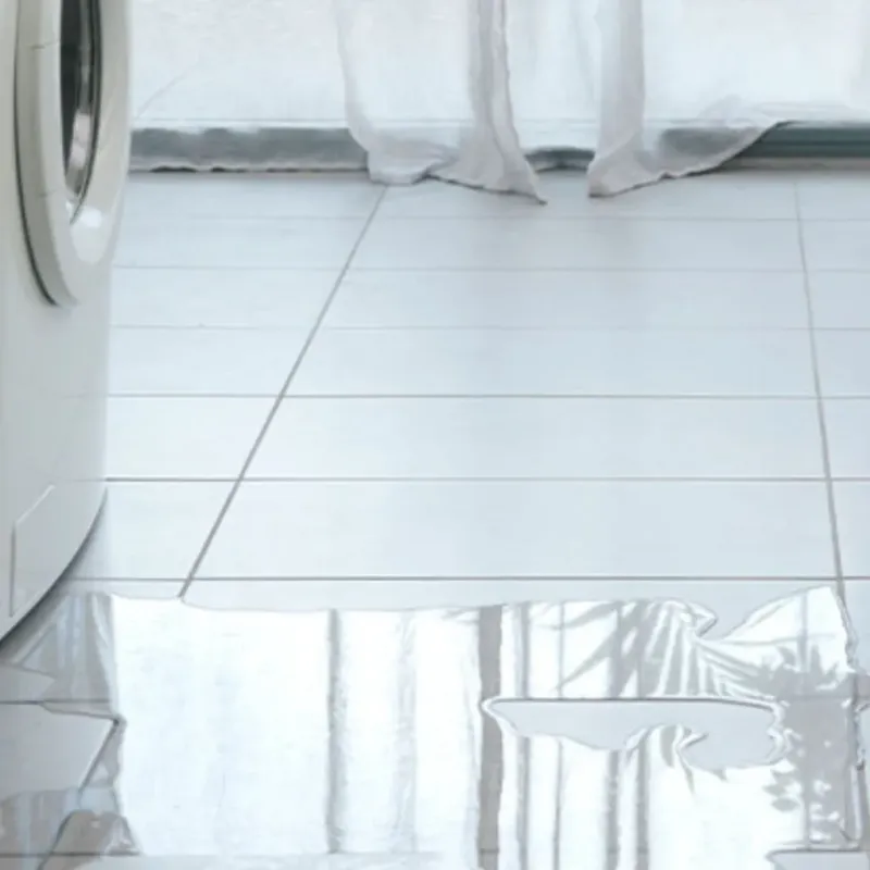 Appliance Leak Cleanup in Clearwater, KS