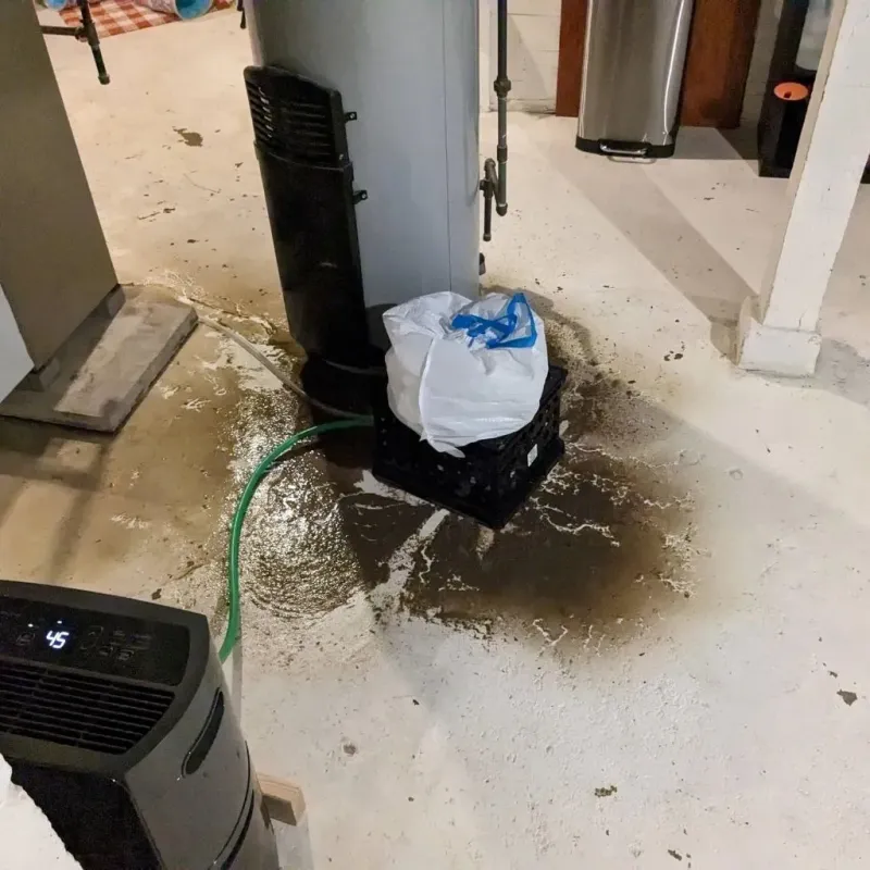 Sewage Backup Cleanup Service in Clearwater, KS
